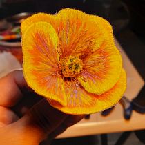 Mi Proyecto del curso: Bordado stumpwork: crea adornos en 3D. Projekt z dziedziny Projektowanie biżuterii i  Haft użytkownika Edith Cardenas - 25.07.2021