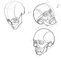 Meu projeto do curso: Desenho anatômico da cabeça humana. Artes plásticas, Desenho a lápis, Desenho, Desenho de retrato, Desenho realista, e Desenho anatômico projeto de Daniel Froes - 25.07.2021