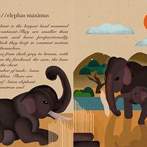 My project in Wildlife Illustration for Children's Books course. Un progetto di Illustrazione vettoriale, Illustrazione digitale e Illustrazione infantile di Sai Shashank - 23.07.2021
