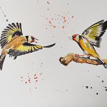 My project in Artistic Watercolor Techniques for Illustrating Birds course. Traditional illustration, Watercolor Painting, Realistic Drawing, and Naturalistic Illustration project by lnrh - 07.27.2021