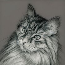 Mon projet du cours : Portrait artistique au fusain : créer des ambiances. Ilustração tradicional, Artes plásticas, Desenho, Desenho de retrato, Desenho realista, e Desenho artístico projeto de Martine Savart - 27.07.2021