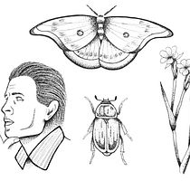Mi Proyecto del curso: Diseño de tatuajes Blackwork. Un projet de Illustration traditionnelle, Illustration numérique , et Conception de tatouage de lucas.lopezbrito - 27.07.2021