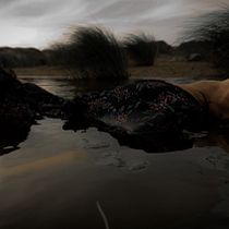 Sumergida. Photograph, Stor, telling, Fine-Art Photograph, and Narrative project by Vera Lecko - 07.28.2021