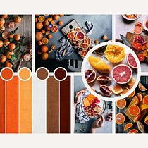 Mi Proyecto del curso: Fotografía flat lay llena de color para Instagram QUESADILLAS. Un projet de Réseaux sociaux, Photographie smartphone, Photographie numérique, Marketing mobile, Instagram, Marketing de contenu, Photographie pour Instagram, Marketing pour Instagram, Photographie lifest, le , et Photographie de pattymartinezg13 - 28.07.2021
