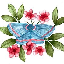 My project in Naturalist Illustrations with Watercolors: Drawing and Composition course. Traditional illustration, Drawing, Watercolor Painting, and Naturalistic Illustration project by sarah_jane74 - 07.30.2021
