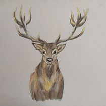 Mi Proyecto del curso: Técnicas experimentales de acuarela para principiantes . Traditional illustration, Fine Arts, Watercolor Painting, and Naturalistic Illustration project by Bryan Yépez - 07.31.2021