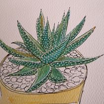 Il mio progetto del corso:  Sketchbook botanico: un approccio meditativo. Ilustração tradicional, Esboçado, Desenho, Pintura em aquarela, Ilustração botânica, e Sketchbook projeto de ilaria.naddeo - 31.07.2021