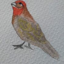 Mi Proyecto del curso: Acuarela artística para ilustración de aves. Traditional illustration, Watercolor Painting, Realistic Drawing, and Naturalistic Illustration project by Rossy Merino - 08.02.2021