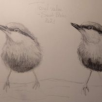 My project in Artistic Watercolor Techniques for Illustrating Birds course. Traditional illustration, Watercolor Painting, Realistic Drawing, and Naturalistic Illustration project by sigo - 12.07.2021