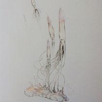 Il mio progetto del corso: Illustrazione surrealista ispirata alla natura. Traditional illustration, Pencil Drawing, Drawing, Artistic Drawing, and Naturalistic Illustration project by lavval - 08.03.2021