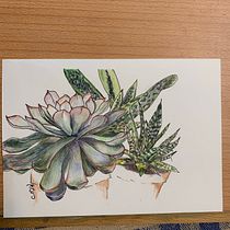 My project in Botanical Sketchbooking: A Meditative Approach course. Ilustração tradicional, Esboçado, Desenho, Pintura em aquarela, Ilustração botânica, e Sketchbook projeto de Christina - 03.08.2021