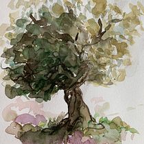 Mi Proyecto del curso: Naturaleza ilustrada: una exploración creativa. Traditional illustration, Painting, Drawing, Watercolor Painting, Ink Illustration, and Naturalistic Illustration project by Laura Poletti - 08.04.2021
