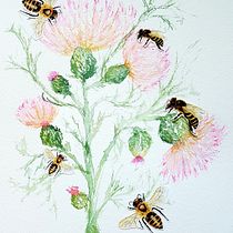 My project in Illustrating Nature: Feathery Thistles and Bees. Traditional illustration, Painting, Watercolor Painting, and Naturalistic Illustration project by Sarah - 08.04.2021