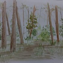 Mi Proyecto del curso: Paisajes naturales en acuarela. Projekt z dziedziny  Sztuki piękne,  Malarstwo i Malowanie akwarelą użytkownika Cristhian Rojas Granados - 31.07.2021