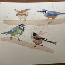 My project in Artistic Watercolor Techniques for Illustrating Birds course. Traditional illustration, Watercolor Painting, Realistic Drawing, and Naturalistic Illustration project by lorrainemycock1 - 08.05.2021