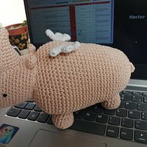Mi Proyecto del curso: Diseño y creación de amigurumis. Arts, Crafts, To, Design, Fiber Arts, DIY, and Crochet project by SANDRA QUINTERO - 08.05.2021