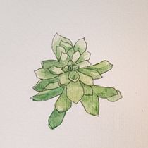 My project in Botanical Sketchbooking: A Meditative Approach course. Ilustração tradicional, Esboçado, Desenho, Pintura em aquarela, Ilustração botânica, e Sketchbook projeto de tulipkari - 05.08.2021