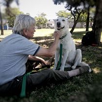 Mi Proyecto del curso: Fotografía lifestyle de perros. Un projet de Photographie, Photographie de portrait, Photographie pour Instagram, Photographie documentaire, Photographie lifest , et le de Lorena Oyarzabal - 05.06.2021
