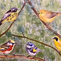 Mon projet du cours : Techniques artistiques d'aquarelle pour illustrer les oiseaux. Traditional illustration, Watercolor Painting, Realistic Drawing, and Naturalistic Illustration project by Nathalie Hamel - 08.06.2021
