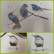 My project in Artistic Watercolor Techniques for Illustrating Birds course. Traditional illustration, Watercolor Painting, Realistic Drawing, and Naturalistic Illustration project by Rozanna - 08.06.2021