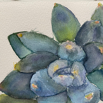 My project in Botanical Sketchbooking: A Meditative Approach course :D. Ilustração tradicional, Esboçado, Desenho, Pintura em aquarela, Ilustração botânica, Sketchbook, e Criatividade projeto de ardaxhio - 02.08.2021