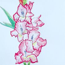 My project in Botanical Sketchbooking: A Meditative Approach course. Ilustração tradicional, Esboçado, Desenho, Pintura em aquarela, Ilustração botânica, e Sketchbook projeto de Sophy King - 26.07.2021