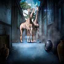 Jirafas Extraviadas. Photograph, Photograph, Post-production, VFX, Photo Retouching, Fine-Art Photograph, Photographic Composition, and Photomontage project by Argeny Brito - 08.07.2021