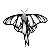 Mi Proyecto del curso: Diseño de tatuajes Blackwork. Un projet de Illustration traditionnelle, Illustration numérique , et Conception de tatouage de Andrea Herráez - 07.08.2021