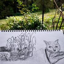 Meu projeto do curso: Sketching diário para inspiração criativa. Traditional illustration, Sketching, Creativit, Drawing, and Sketchbook project by Bruna Malinowski - 08.08.2021