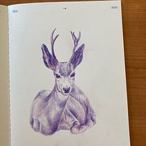 My project in Surrealist Illustration Inspired by Nature course. Traditional illustration, Pencil Drawing, Drawing, Artistic Drawing, and Naturalistic Illustration project by Aspasia - 08.08.2021