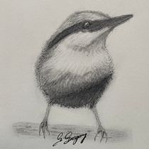 My project in Artistic Watercolor Techniques for Illustrating Birds course. Traditional illustration, Watercolor Painting, and Naturalistic Illustration project by Gail Gregory - 08.08.2021