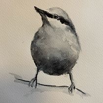 My project in Artistic Watercolor Techniques for Illustrating Birds course. Traditional illustration, Watercolor Painting, Realistic Drawing, and Naturalistic Illustration project by Tarja Jakunaho - 08.08.2021