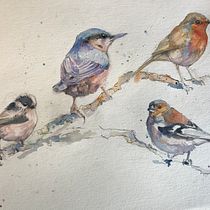 My project in Artistic Watercolor Techniques for Illustrating Birds course. Traditional illustration, Watercolor Painting, and Realistic Drawing project by jartrap - 08.08.2021