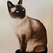 My project in Expressive Animal Portraits in Watercolor course. Un proyecto de Ilustración tradicional, Pintura a la acuarela, Dibujo realista e Ilustración naturalista				 de Sandra De - 09.08.2021