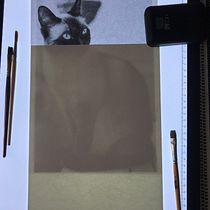 My project in Expressive Animal Portraits in Watercolor course. Un projet de Illustration traditionnelle, Aquarelle, Dessin réaliste et Illustration naturaliste de Fergal McGreevy - 09.08.2021