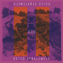 II - Usted Señalemelo - PF: Dirección de arte para portadas de discos. Art Direction, Br, ing, Identit, Graphic Design, Packaging, and Collage project by evelindcv - 06.04.2020