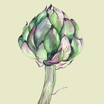 Mi Proyecto del curso: Ilustración botánica con acuarela. Traditional illustration, Fine Arts, Painting, Drawing, Watercolor Painting, and Botanical Illustration project by CAROLINA LEYTON - 08.10.2021