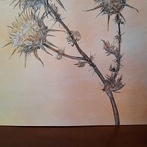 Il mio progetto del corso   Sketchbook botanico: un approccio meditativo. Traditional illustration, Sketching, Watercolor Painting, Sketchbook, Drawing, and Botanical Illustration project by Paola Matteucci - 08.10.2021