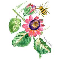 Mi Proyecto del curso: Dibujo y composición naturalista en acuarela. Traditional illustration, Drawing, Watercolor Painting, and Naturalistic Illustration project by Mercedes Lamborelle - 08.10.2021