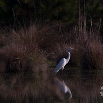 Mi Proyecto del curso: Fotografía de paisaje y naturaleza. Photograph, Outdoor Photograph, Instagram Photograph, Documentar, Photograph, and Photographic Composition project by quiqueben289 - 08.10.2021