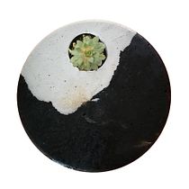 Mi Proyecto del curso: Técnicas decorativas en concreto. Un progetto di Design di accessori, Artigianato, Interior design, Interior Design e DIY di figarito13 - 10.08.2021