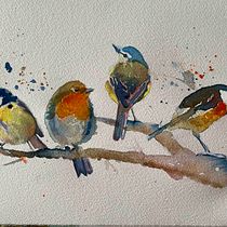 My project in Artistic Watercolor Techniques for Illustrating Birds course. Traditional illustration, Watercolor Painting, Realistic Drawing, and Naturalistic Illustration project by Sarah Force - 08.08.2021