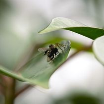 Mi Proyecto del curso: Fotografía de paisaje y naturaleza. Un proyecto de Fotografía, Fotografía en exteriores, Fotografía para Instagram, Fotografía documental y Composición fotográfica de Laura Ávila - 11.08.2021