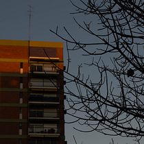 Mi Proyecto del curso: Fotos desde mi casa. Photograph, Digital Photograph, and Photographic Composition project by Octavio Negri - 08.12.2021