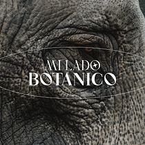 Mi Lado Botánico. Un projet de Illustration traditionnelle, Direction artistique, Br, ing et identité , et Design graphique de Julián Andrés Carvajal Zapata - 10.08.2021