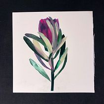 My project in Illustrating Nature: A Creative Exploration course. Traditional illustration, Painting, Drawing, Watercolor Painting, Ink Illustration, and Naturalistic Illustration project by Hanna Shvaikova - 08.12.2021