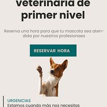 Mi Proyecto del curso: Diseño de interfaces para sitios web y aplicaciones. Un proyecto de UX / UI, Diseño gráfico, Diseño interactivo, Diseño Web, Diseño mobile, Diseño digital y Diseño de apps de naim16899 - 13.08.2021