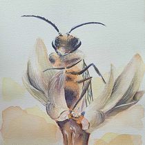 My project in Experimental Watercolor Techniques for Beginners course. Traditional illustration, Fine Arts, Watercolor Painting, and Naturalistic Illustration project by Anna Juskova - 08.13.2021