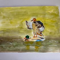 My project in Illustrating Nature: A Creative Exploration course. Traditional illustration, Painting, Drawing, Watercolor Painting, Ink Illustration, and Naturalistic Illustration project by Irina Evans - 08.16.2021