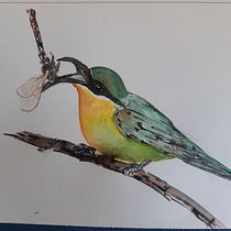 Meu projeto do curso: Técnicas expressivas de aquarela para ilustração de pássaros. Traditional illustration, Watercolor Painting, Realistic Drawing, and Naturalistic Illustration project by Jair Zenshu - 08.14.2021
